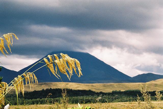 (09.02.2005) 36 Mt Ngauruhoe withGrass.JPG